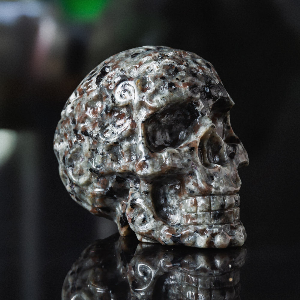 Crâne de Yooperlite Reikistal