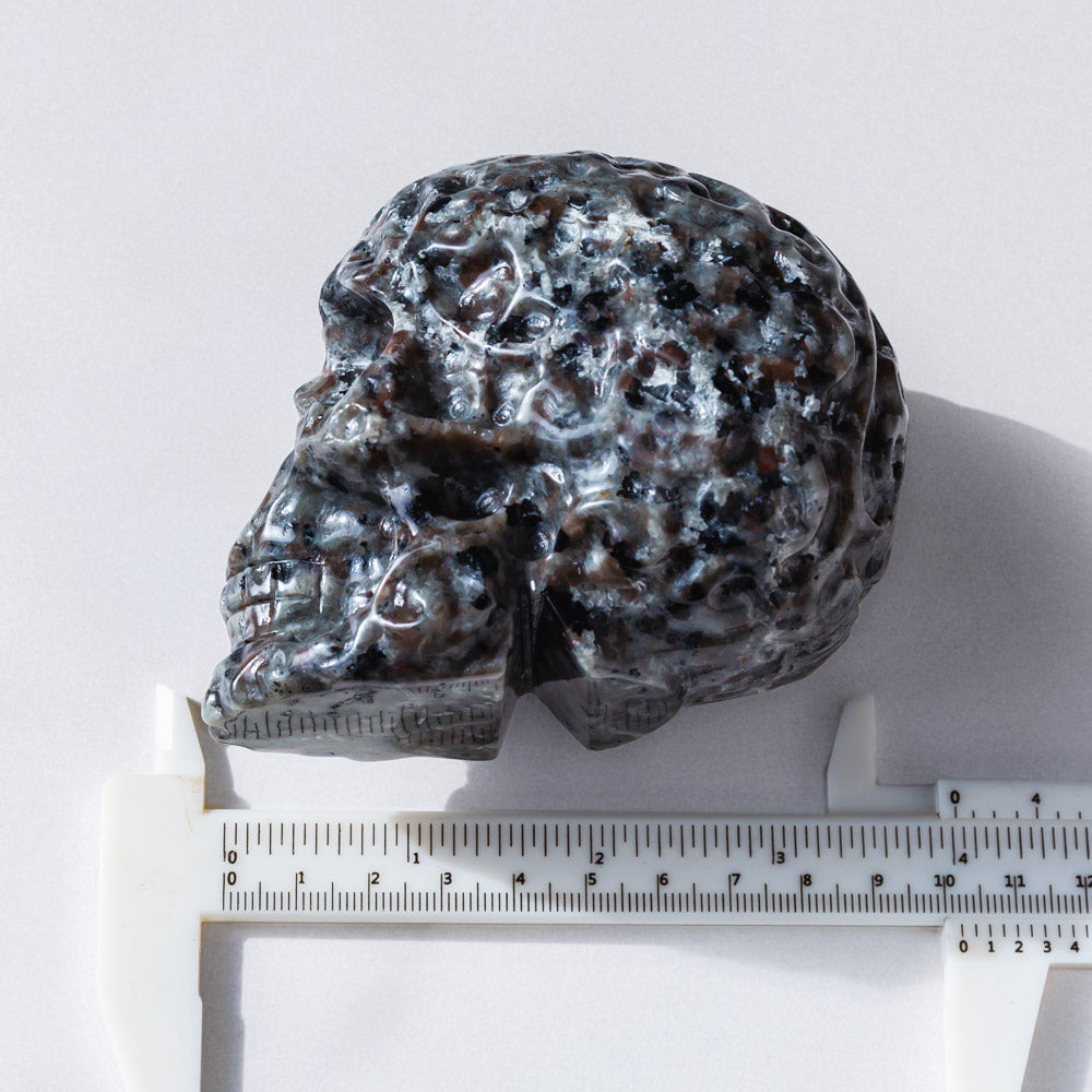 Reikistal Yooperlite Skull