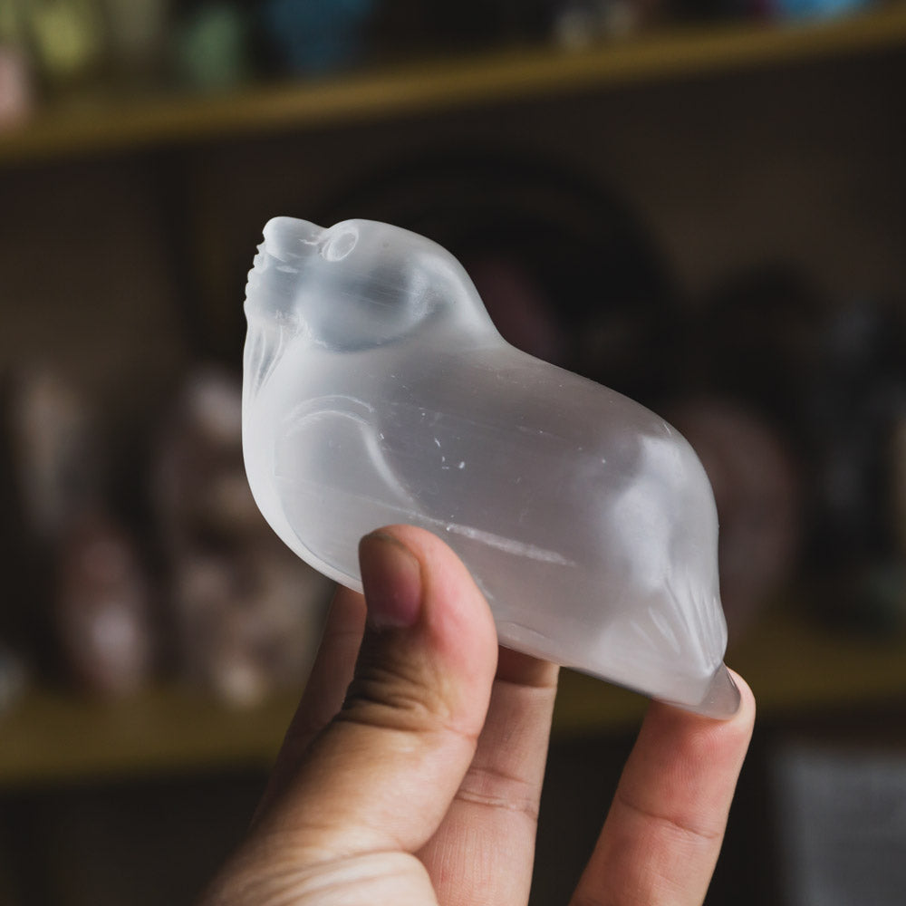 Reikistal Selenite Sea Lion