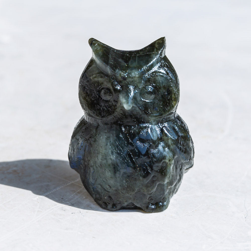 Reikistal Labradorite Cat Owl Hej Ketty