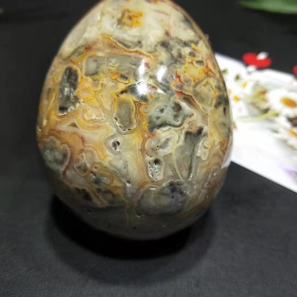 Reikistal Crazy Lace Agate Crâne