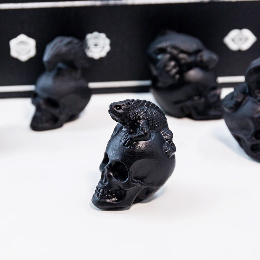 Reikistal Obsidian Skull presentförpackning